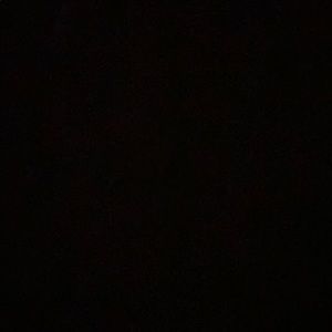 Meet your Posher, Oscar